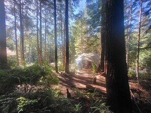 Exterior - Fieldbrook Gnome Dome (McKinleyville)