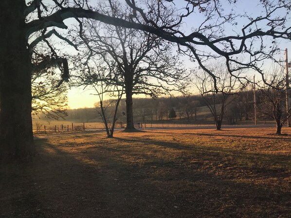 A park with bare trees and a fence in the foreground, and a field in the background.
