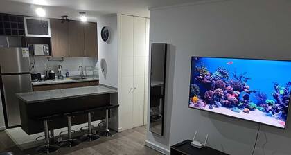 Charming 2-bedroom apartment with WiFi and fitness room in vibrant Santiago