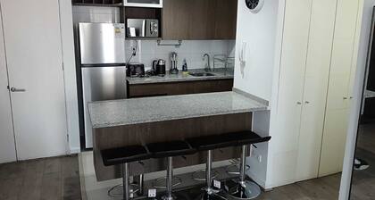 Charming 2-bedroom apartment with WiFi and fitness room in vibrant Santiago