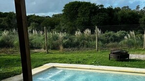 Una piscina con bordo in cemento, circondata da un prato e alberi.