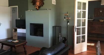 Houses & Villas for 11 People