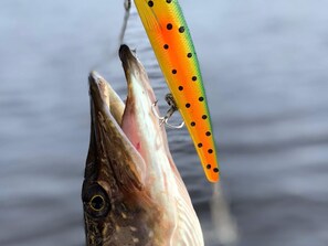 A fish with a lure attached to its mouth. - 4 Star Holiday Home in Molkom (Molkom)