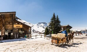 Snow and ski sports