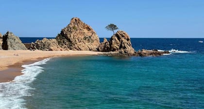 Villa in Blanes With Pool & Sea Views