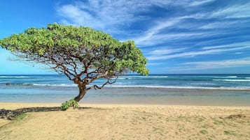 On the beach, sun loungers, beach towels