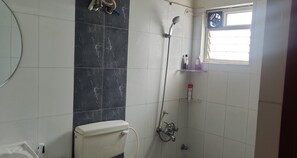 Shower, towels, soap, toilet paper