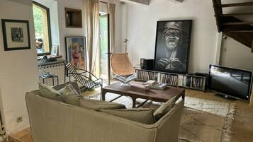 TV, fireplace, books