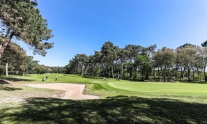 Golfe