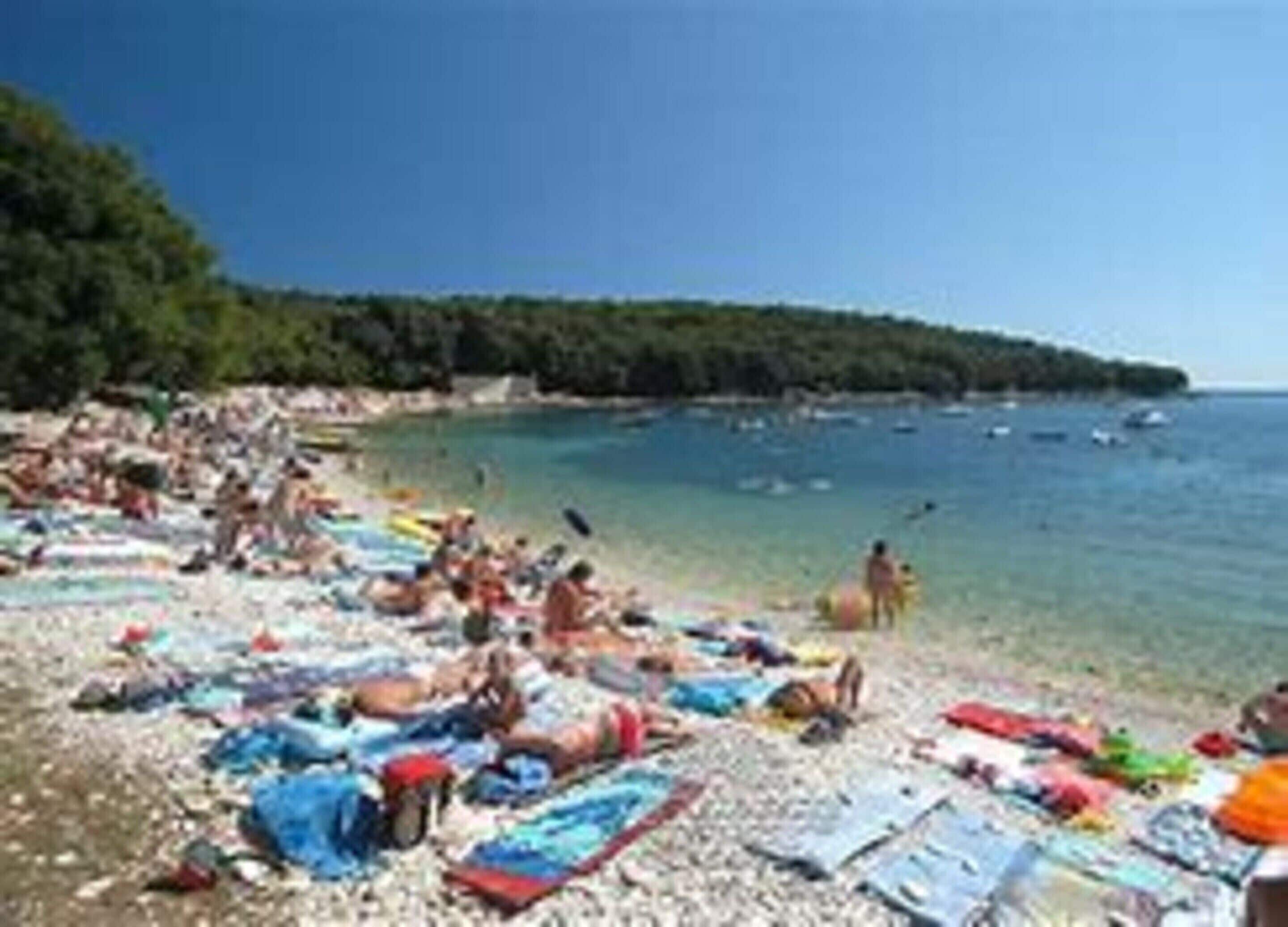 Apartment | View from property