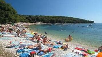 Apartment | View from property