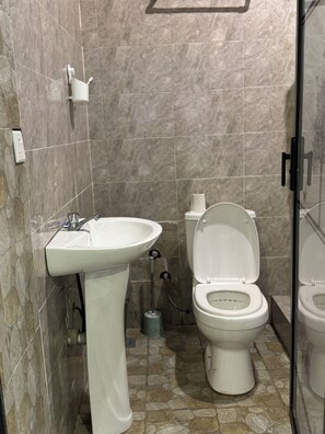 Hair dryer, towels, soap, toilet paper