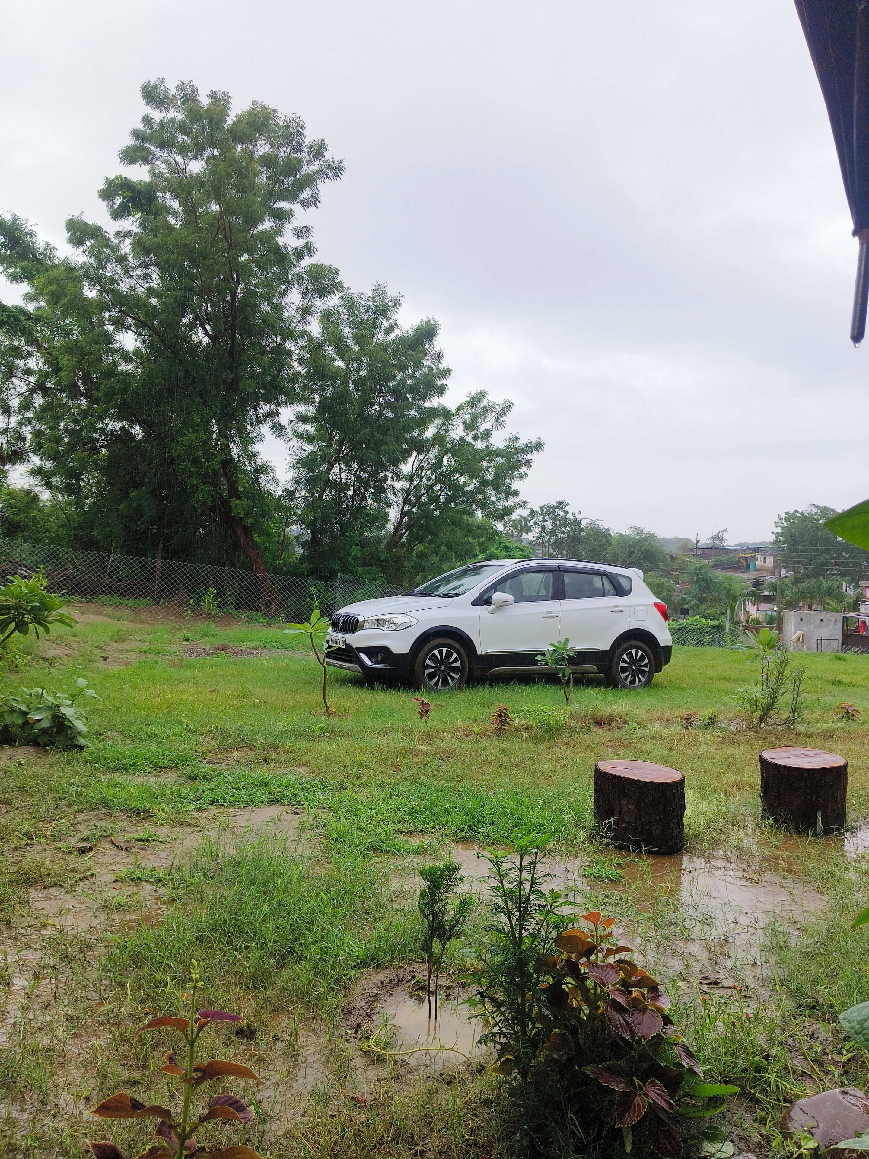 Een witte SUV geparkeerd in een grasrijk gebied met bomen en een hek op de achtergrond.