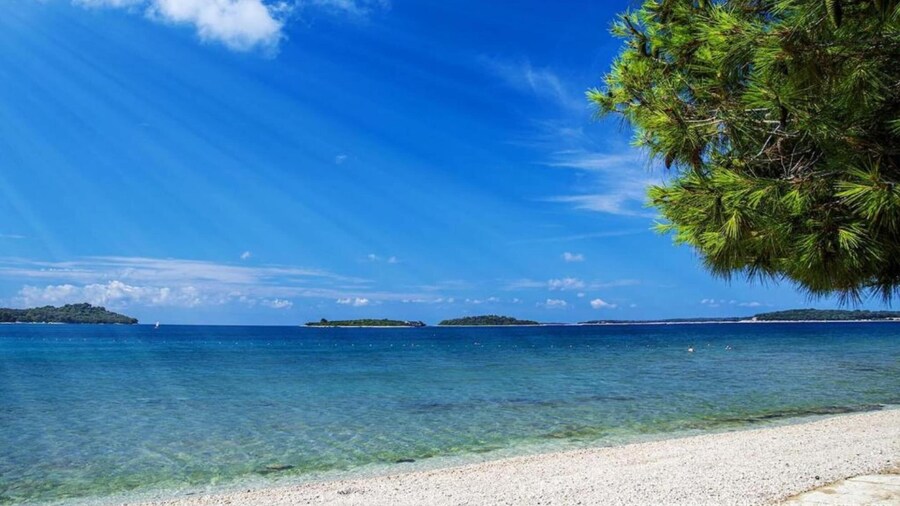 Apartment in Valbandon Near Beach & Brijuni