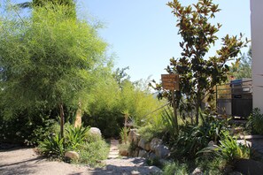 A pathway leading through a garden with various plants and a signpost indicating directions.