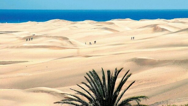 Un paysage désertique avec des dunes de sable et un ciel bleu clair.