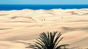 Un paysage désertique avec des dunes de sable et un ciel bleu clair.