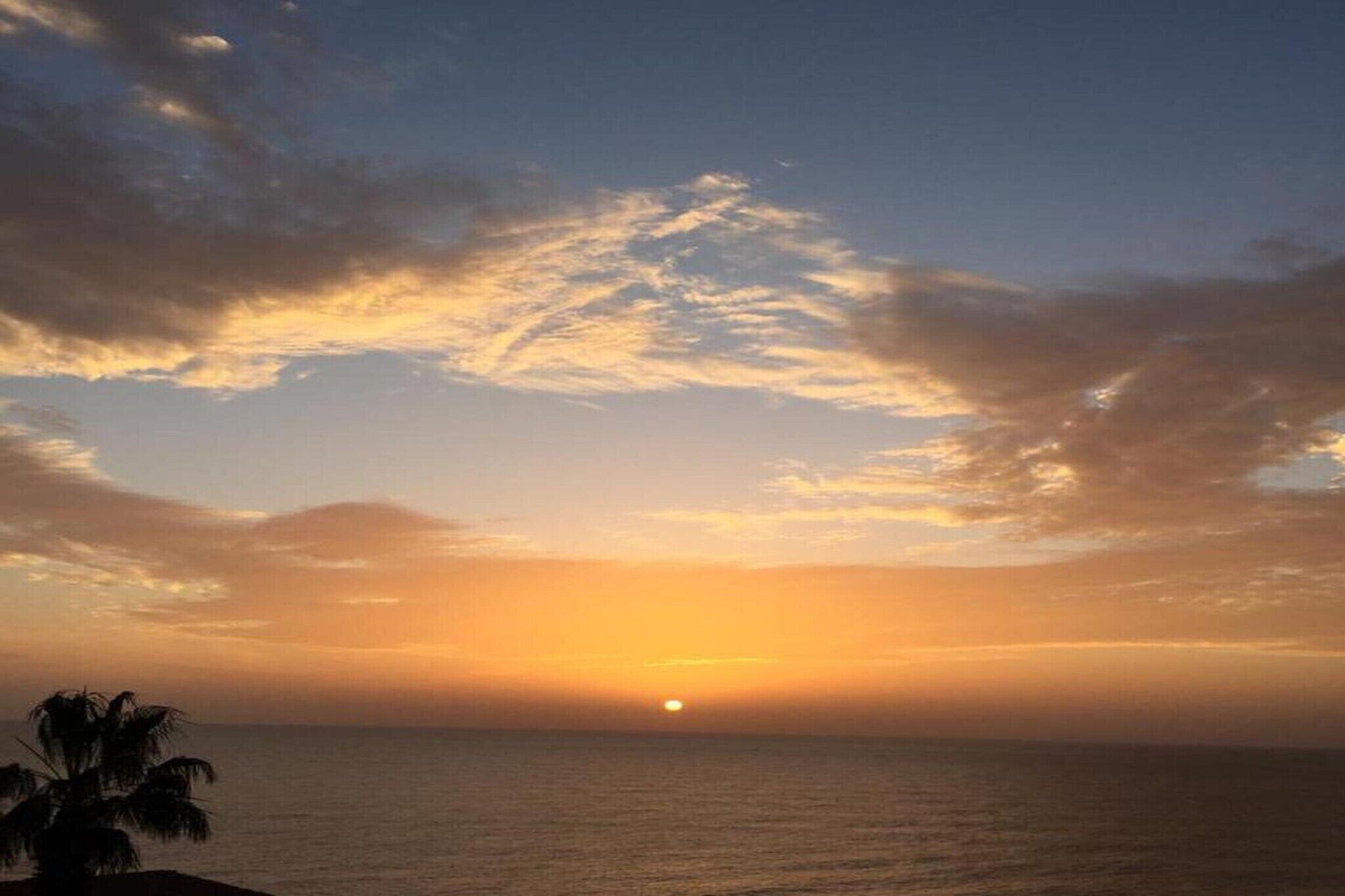 A sunset over the ocean with a palm tree silhouette.