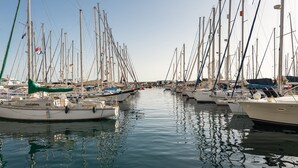 Een jachthaven met verschillende boten afgemeerd in rustig water.