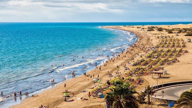 Ein Strand mit einer gewundenen Straße, Palmen und blauem Himmel.