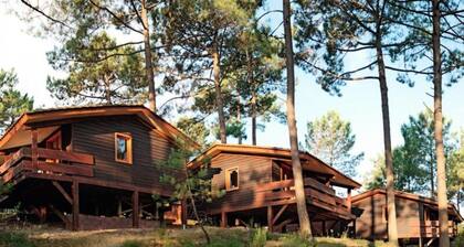 3 Room Apartment for 3 People Covered Balcony