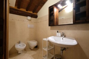 Shower, hair dryer, bidet, towels