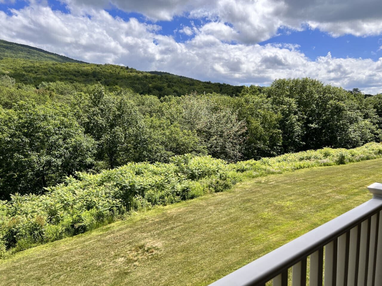 Eine grüne Terrasse mit Blick auf einen bewaldeten Hang.