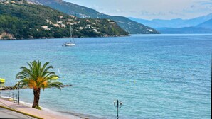 A coastal scene with a clear view of the sea, a sailboat, and a palm tree. - Sunrise (Corfu)
