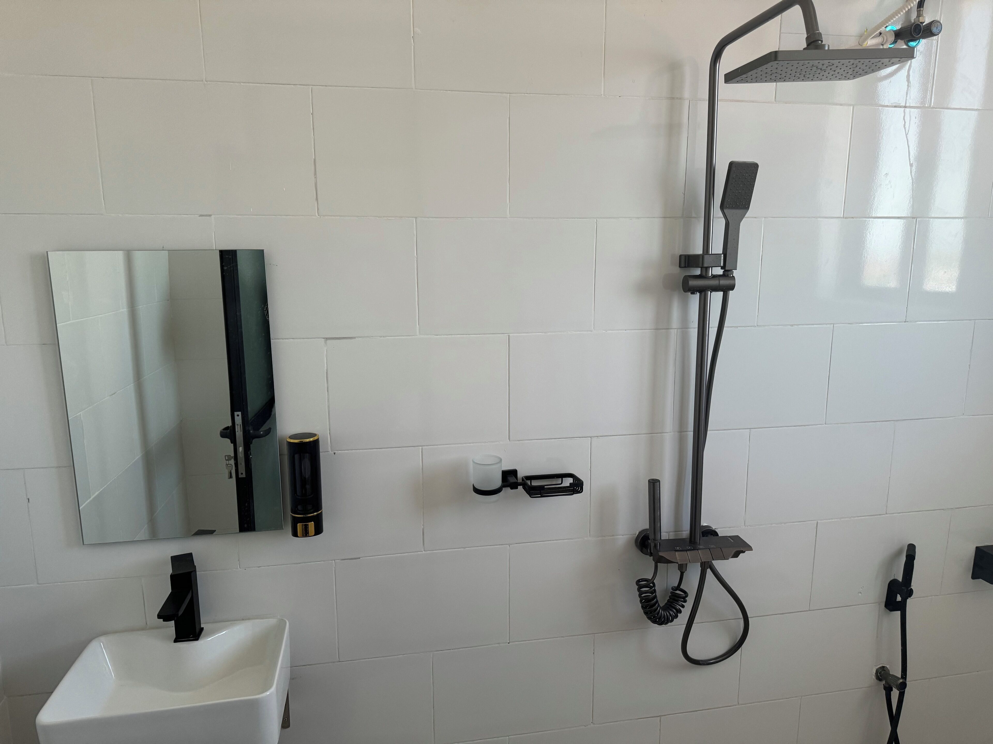 A bathroom with a white sink, a mirror, a handheld showerhead, and a towel rack.