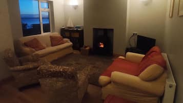 House | Living area | Fireplace