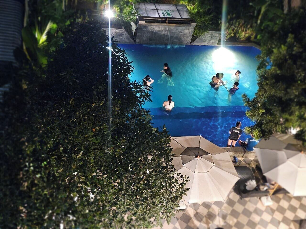 Una piscina rodeada de vegetación, con sombrillas y sillas de descanso.