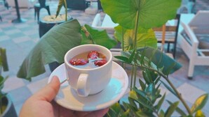 A hand holding a cup of tea with a lotus flower in the foreground. - Angkor Rise Boutique (Siem Reap)