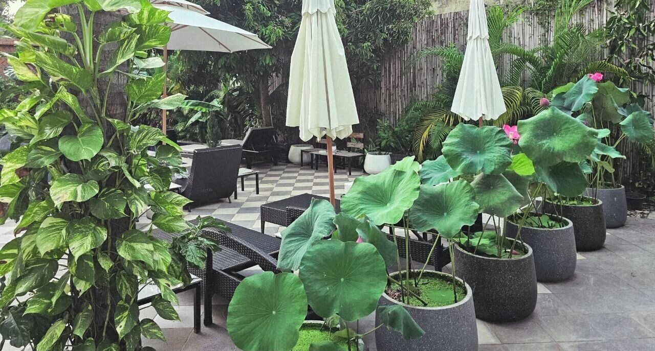 An outdoor patio with potted plants, a checkered floor, and outdoor furniture.