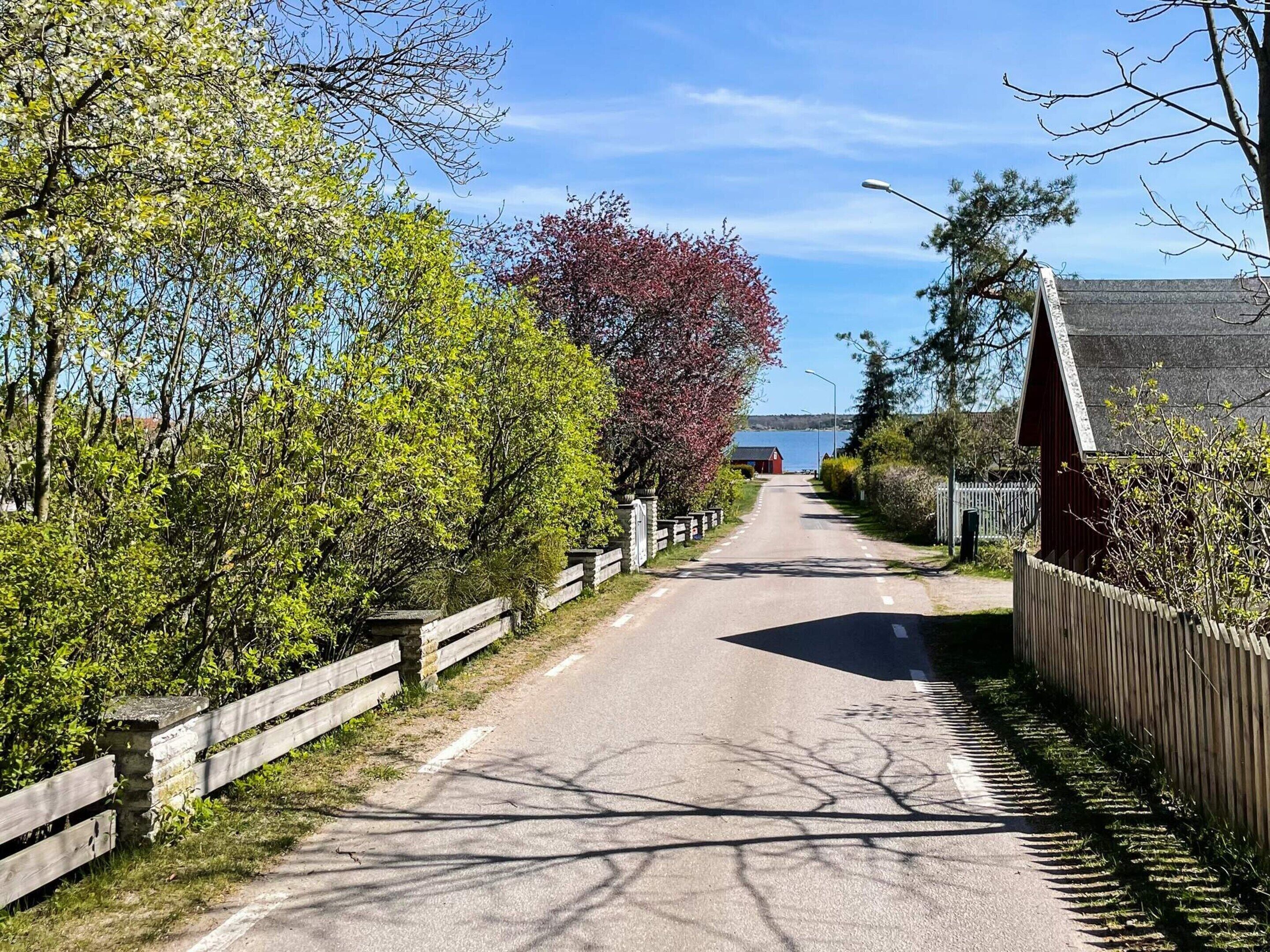 A rural road flanked by wooden fences and trees, leading towards a body of water.