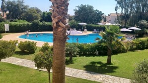 Un área de piscina con un sendero de piedra, palmeras y sillones de descanso.