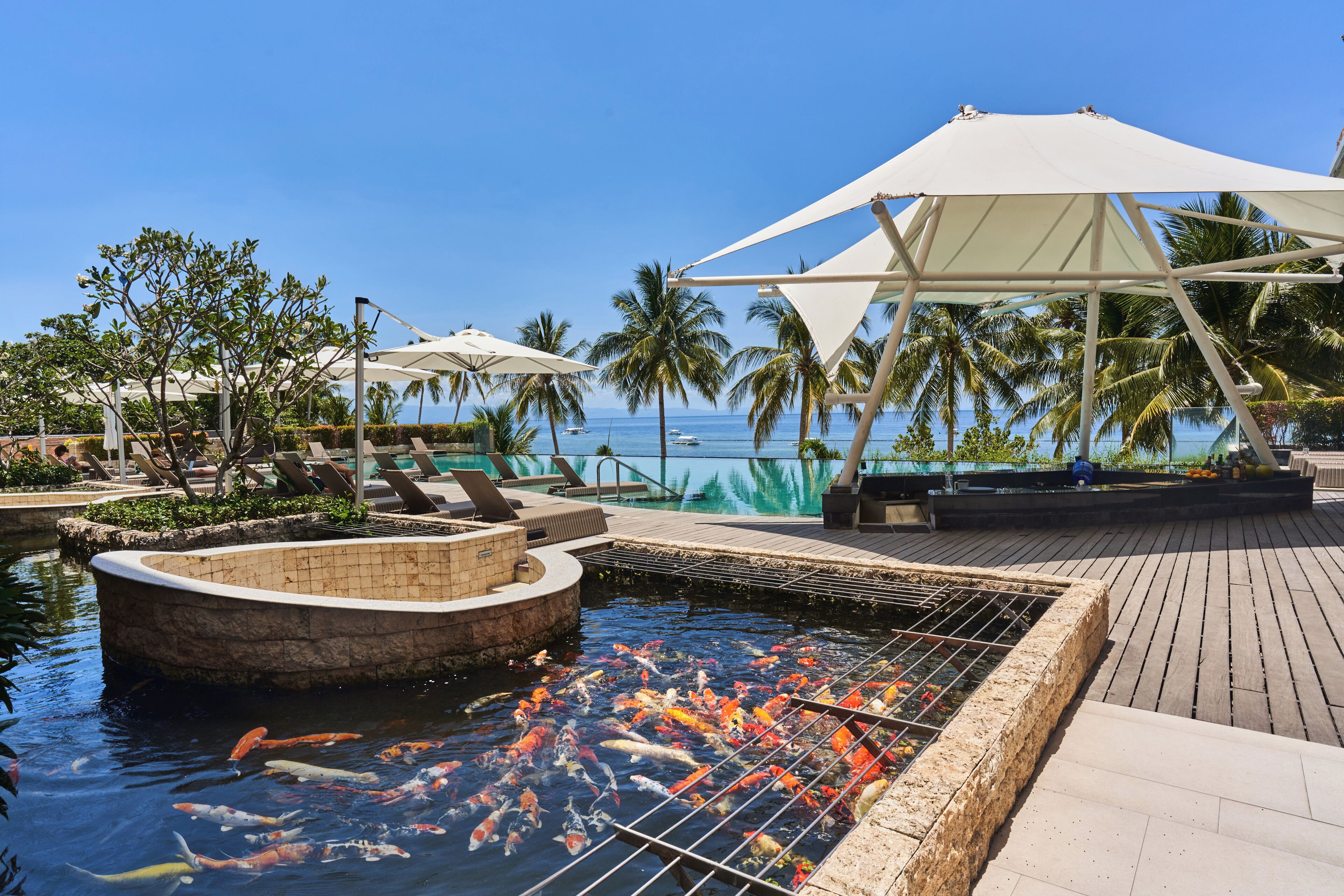 A koi pond with a wooden deck, palm trees, and beach views.