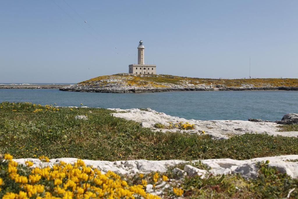 A lighthouse on a rocky island with clear blue water in the foreground.
