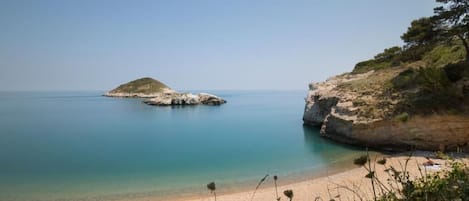 海灘