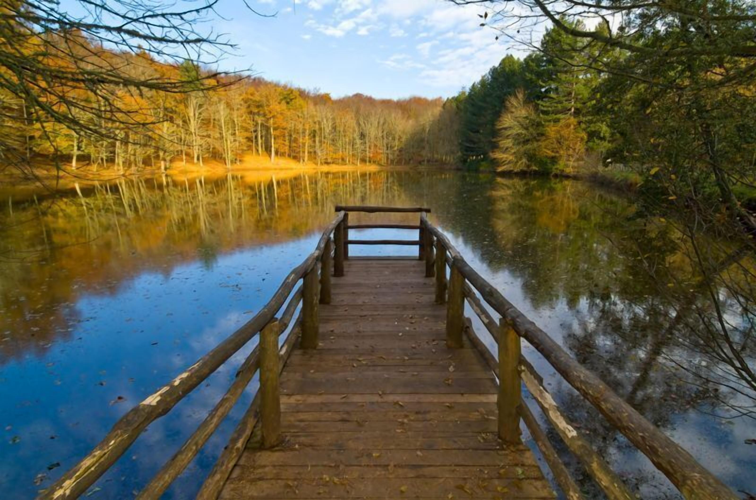 Un muelle de madera que se adentra en un lago tranquilo rodeado de árboles.