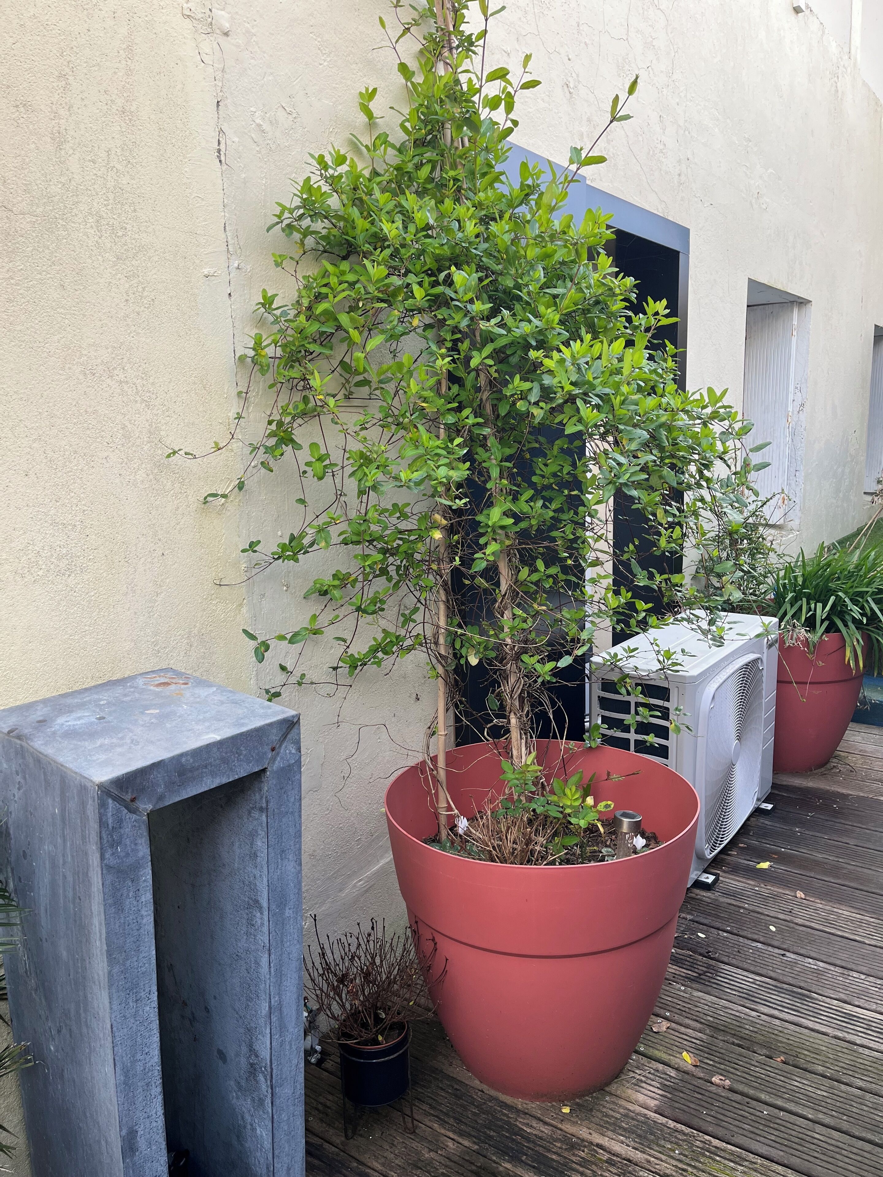 Enceinte de l’hébergement