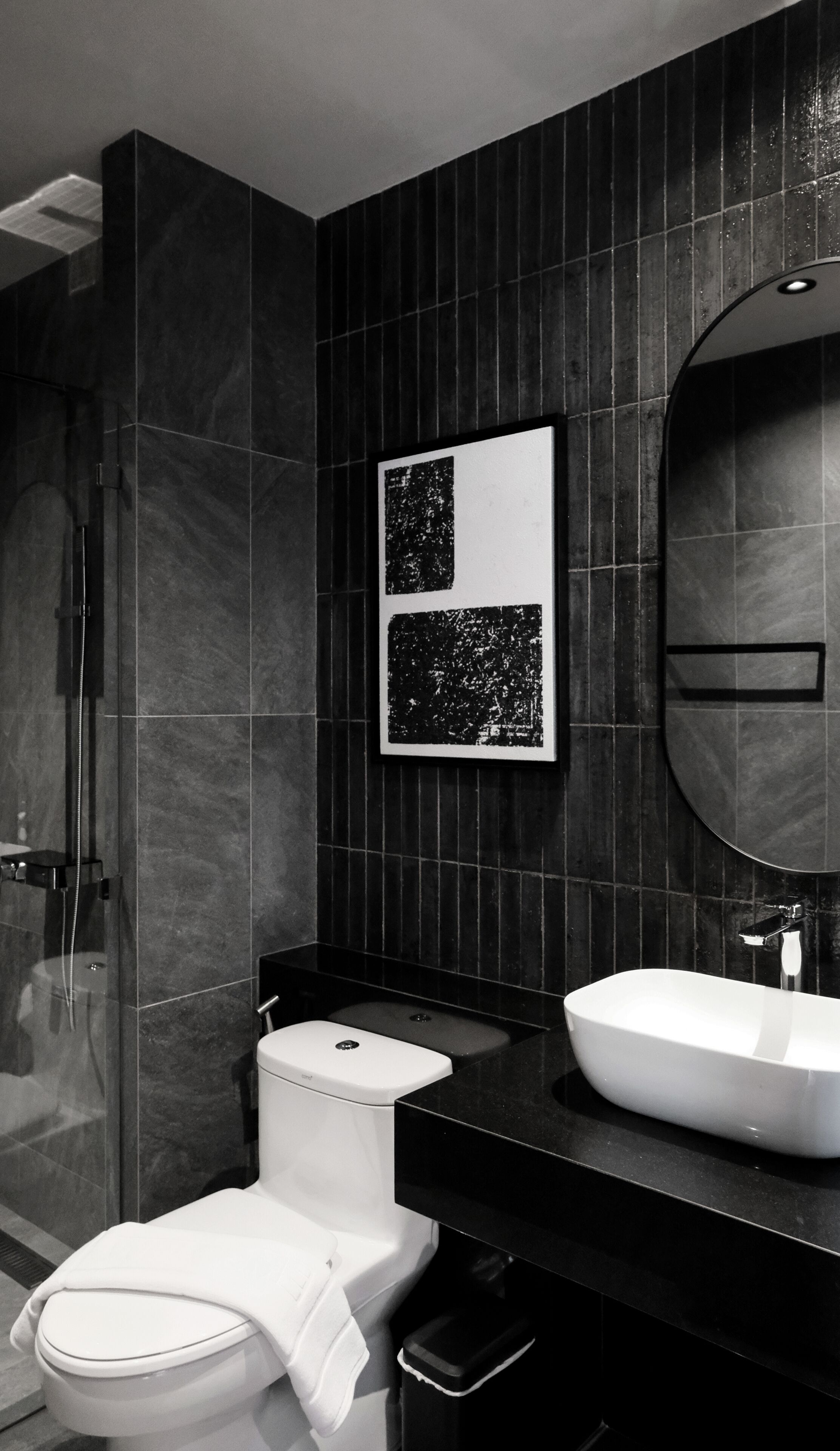 Regadera, secadora de cabello, bidet, toallas 