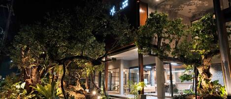 A hotel with a well-lit outdoor area featuring a variety of plants and a seating area.