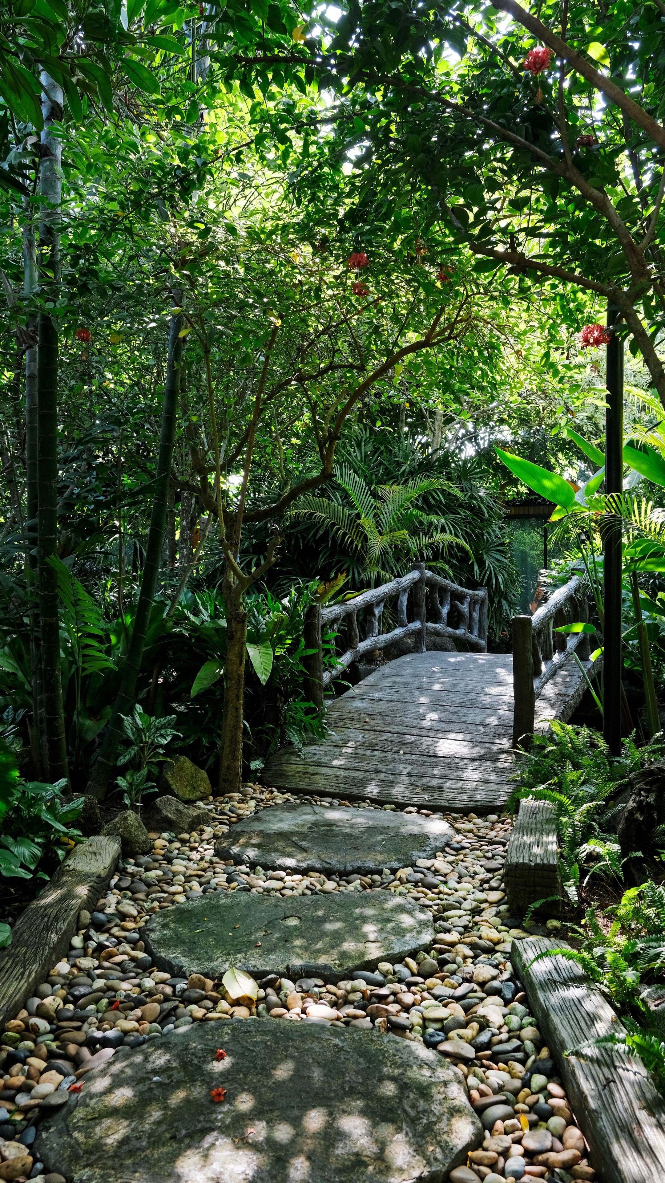 A stone pathway leading through a lush garden with a wooden bridge.