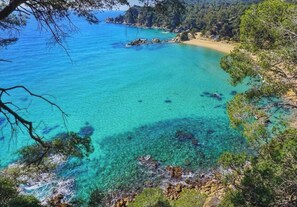 Paisaje costero con aguas turquesas cristalinas, afloramientos rocosos y vegetación densa.