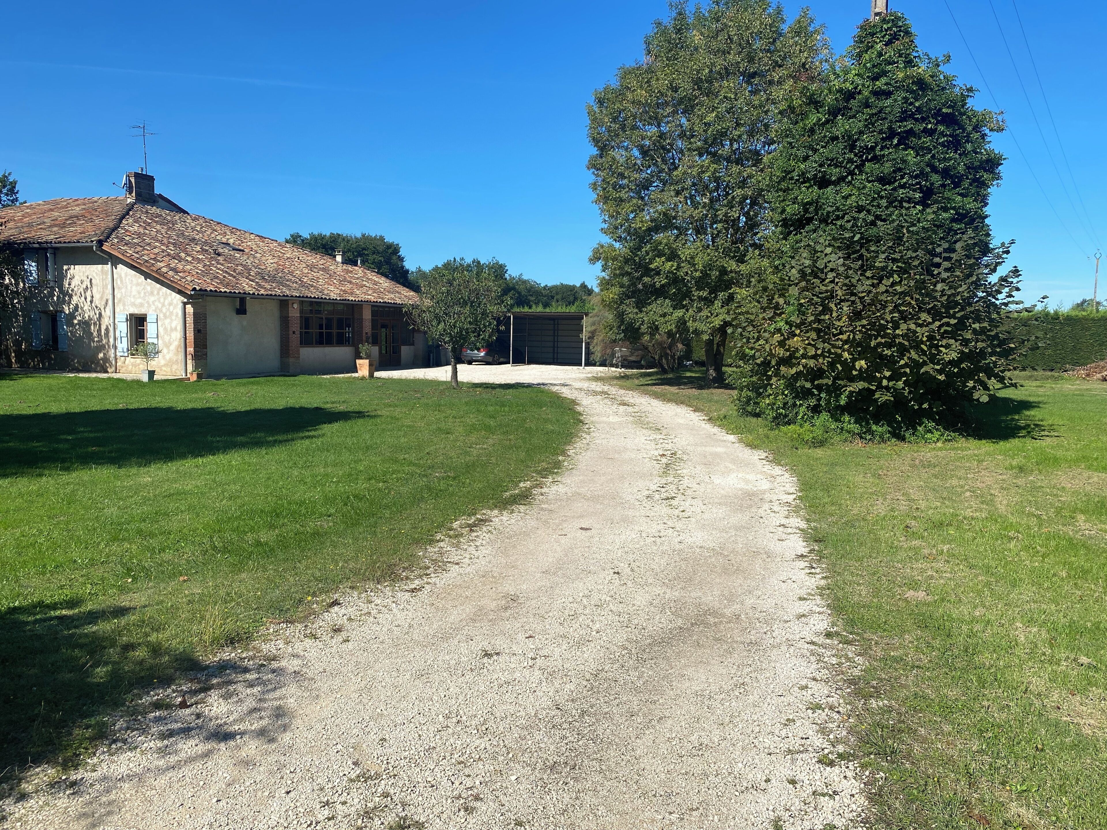 A gravel path leading to a house with a tiled roof and a large tree on the right.