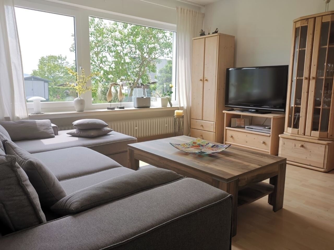 Télévision, lecteur de DVD, livres