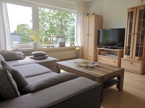 Télévision, lecteur de DVD, livres