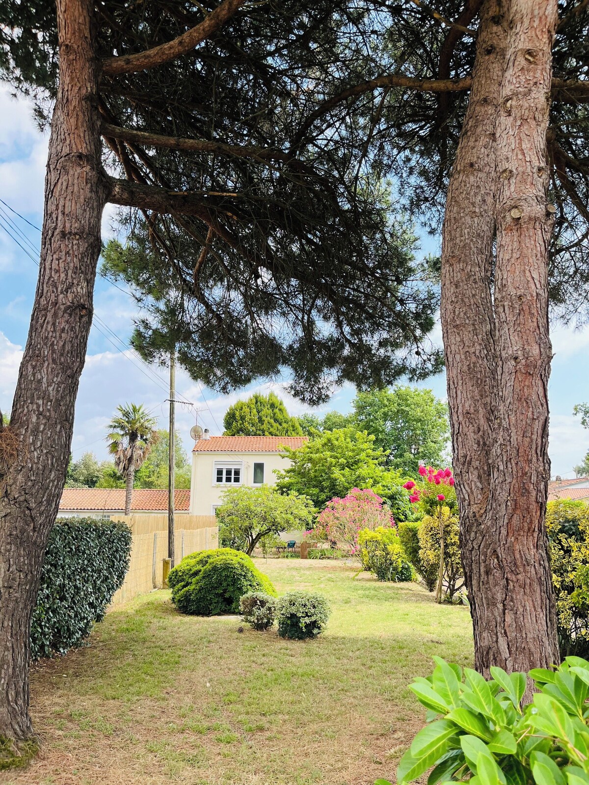 Image de profil de l’hôte