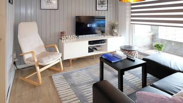 TV, fireplace, books, stereo