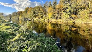 Un río tranquilo con árboles reflejados en el agua, rodeado de follaje.